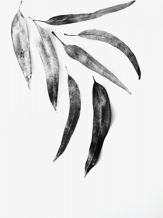 liliana-eira-0AfyRdIYm38-unsplash